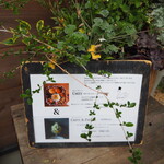 256nicom - メニュー