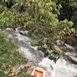 妙見石原荘 食菜石蔵 - 朝の渓流