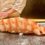 くろ﨑 - 2023.5.  車海老