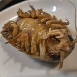 宝雪酒坊 - 調理前のオオグソクムシの裏面