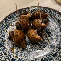 CINA New Modern Chinese - 