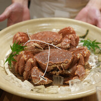三宅輝 - 