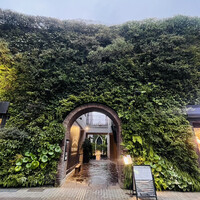 TOKYO Whisky Library - 