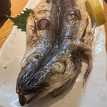 お季楽 でめきん魚 - 