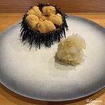 小判寿司 - 海栗に槍烏賊の舎利玉