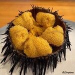 小判寿司 - 殻付海栗