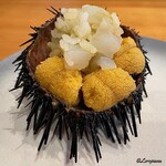 小判寿司 - 海栗に槍烏賊の舎利玉を投入