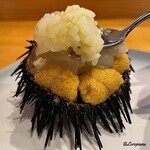 小判寿司 - 海栗に槍烏賊の舎利玉投入