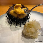 小判寿司 - 海栗に槍烏賊の舎利玉