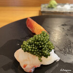 小判寿司 - ボタン海老とキャビアを凌ぐ蝦卵醤油漬と