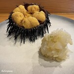 小判寿司 - 海栗に槍烏賊の舎利玉