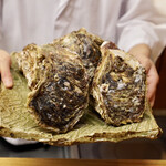 一本杉 川嶋 - 幻の岩牡蠣