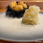 小判寿司 - 海栗に槍烏賊の舎利玉