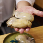 一本杉 川嶋 - 幻の岩垣