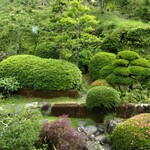 Nihoncha Kimikura - お庭の風情
