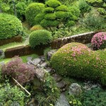 日本茶きみくら - お庭の風情