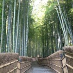 平野屋 - 愛宕（おたぎ）念仏寺の竹林