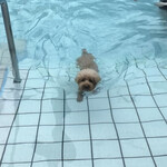 ガーデンリゾート淡路島 ハナアンドキッス - 