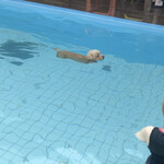 ガーデンリゾート淡路島 ハナアンドキッス - みるくたん