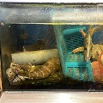 旬彩鈴吉 - 内観