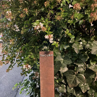 TACUBO - 