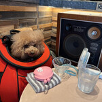 THE NUTS EXCHANGE - 扇風機で涼んでますｗ