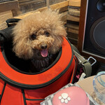 THE NUTS EXCHANGE - ちょっとご機嫌♪