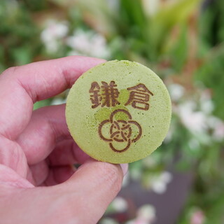 アルブルノワールヤクミ_0