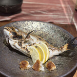 とよのあかり - 