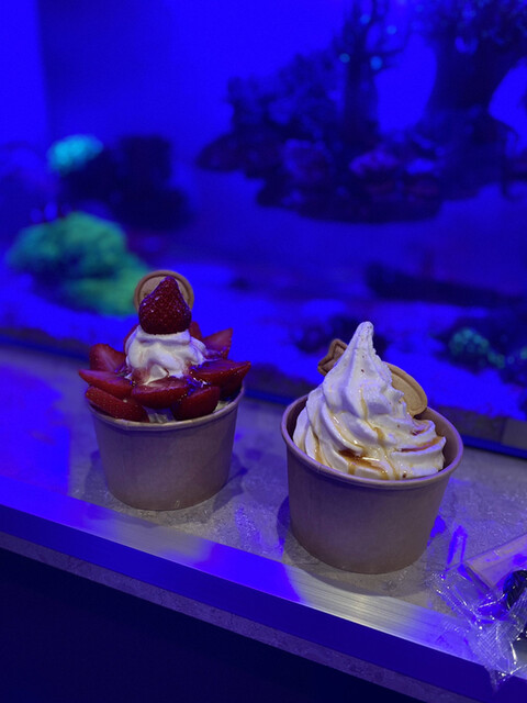 Milky Way （ミルキー ウェイ） - 河内山本/ジェラート・アイス