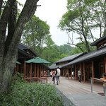 希須林 - ハレニレテラス