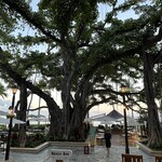 The veranda at The Beachhouse - 