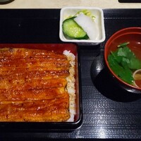 うなぎ 目白ぞろ芽 - 