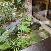 うなぎ秋本 - 