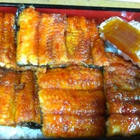 炭焼きうなぎ・かしわ 登河 - 