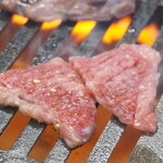 スタミナ苑 - 並切り落とし