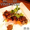 VINDUSTRY - 