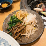 炭焼 金竜山 - ナムル盛り合わせ