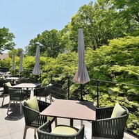 TENJIN - テラスにも緑が鮮やか。