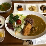 自然食品の店あおぞら - 料理写真:ココナッツミルクを使ったベジカレー