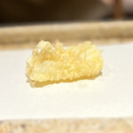 日本橋 蕎ノ字 - ☆アオリイカ（静岡・焼津）