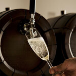 野乃鳥 - ドリンク写真: