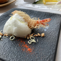 サーラ アマービレ - 