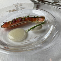 サーラ アマービレ - 