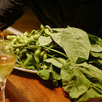 スガラボヴィー - 