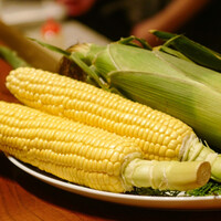 スガラボヴィー - 