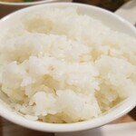 キッチン ブルー グローブ - ご飯大盛りのアップ