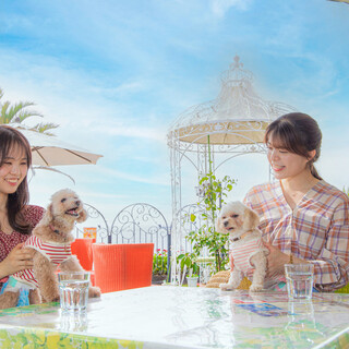 ドッグOK!わんちゃんと一緒に楽しい時間をお過ごしください。