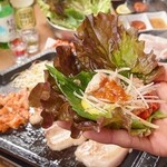 サムギョプサル×食べ放題 韓国バル サラン - 料理写真: