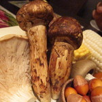 茶良ら - 本日の食材・松茸